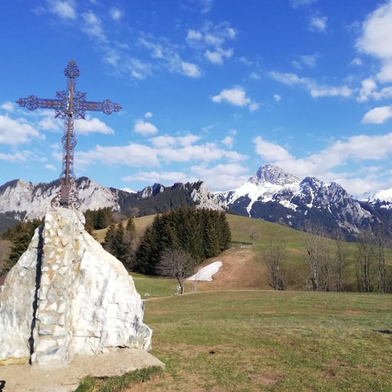 logement cosy entre lac et montagnes - Appartement 2 Chambres - 28