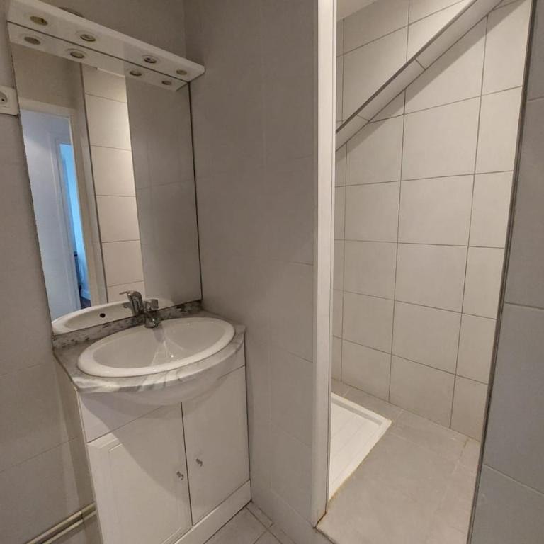 Superb cozy & spacious apartment - Paris 12th - Appartamento Deluxe con 2 Camere da Letto - 15