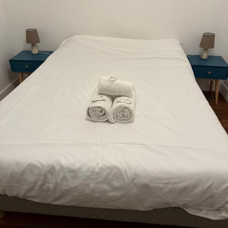 Superb cozy & spacious apartment - Paris 12th - Appartamento Deluxe con 2 Camere da Letto - 9