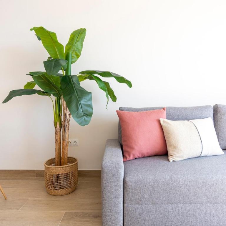 Fuengirola port and beach - Apartamento de 1 dormitorio - 4