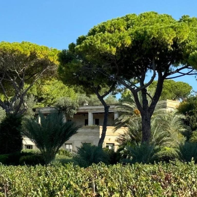 Villa Miramar R&Y - Two-Bedroom House - 7
