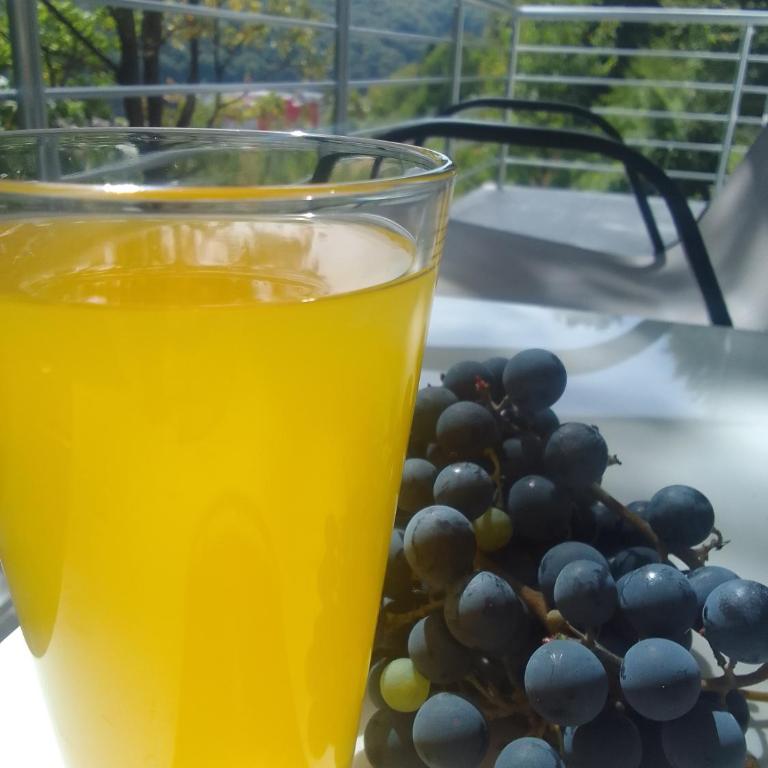 Villa Balic Sarajevo - Standardna Vila - 27