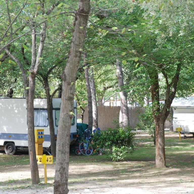 Camping Valdor Camper & Pitch - Piazzola - 4