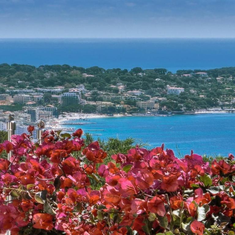 FRGK RETENAOU Dream Villa with Sea View Cap d'Antibes Pool - Villa with Private Pool - 75