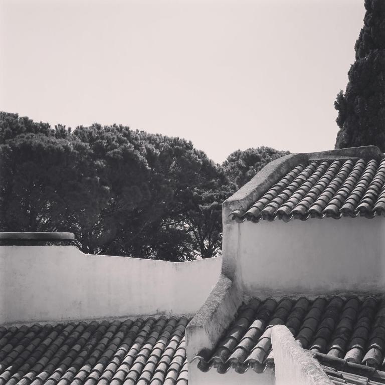 Le Mas des Figuiers - Maison 2 Chambres - 22