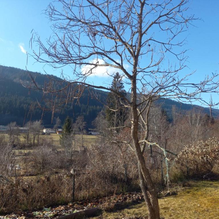 Alie Gusta - Apartment mit 2 Schlafzimmern und Bergblick - 6
