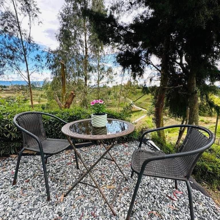 Encanto Verde cabaña sencilla - Double Room - 6