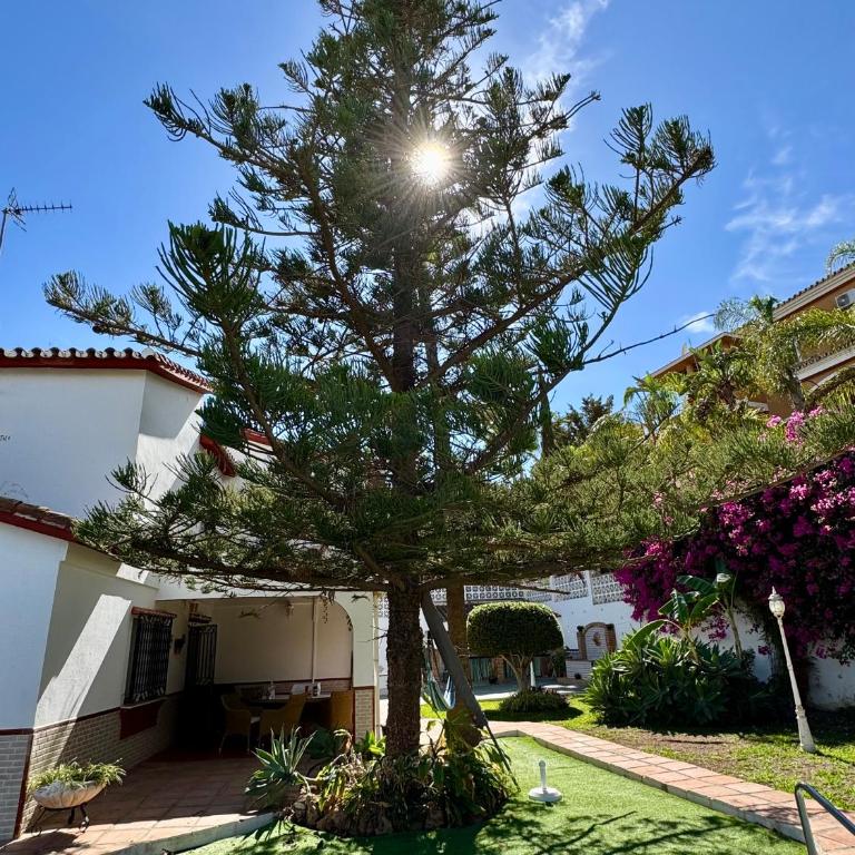 B & B La Casa de Pintor - Two-Bedroom Apartment - 18
