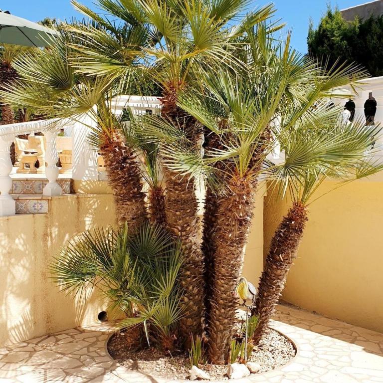 "Traumhaftes Ferienhaus mit Pool und Meerblick - Cumbre del Sol erleben!" - Casa de 2 dormitorios - 2