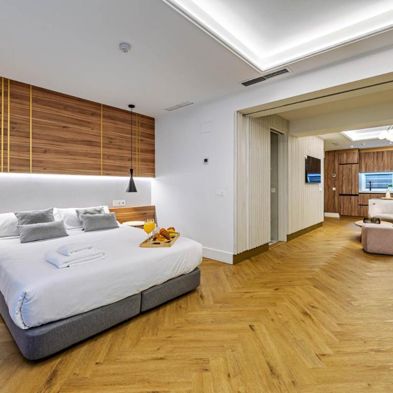 Gran Alameda Centro - Apartamento adaptado (movilidad reducida) con 1 dormitorio y balcón francés. - 11