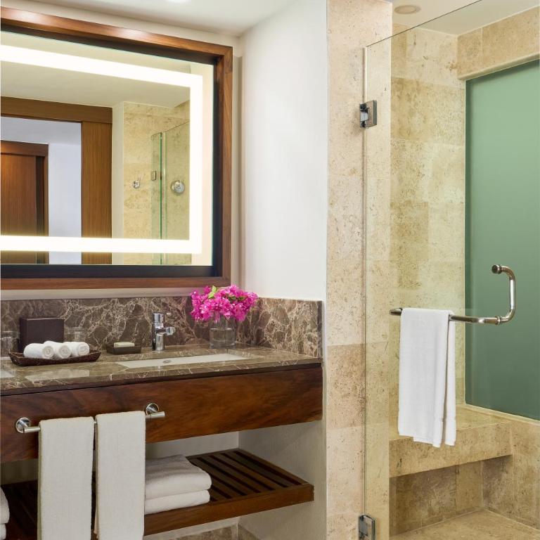 Hyatt Ziva Puerto Vallarta - All Inclusive - Habitación con cama extragrande y vistas al mar - 1