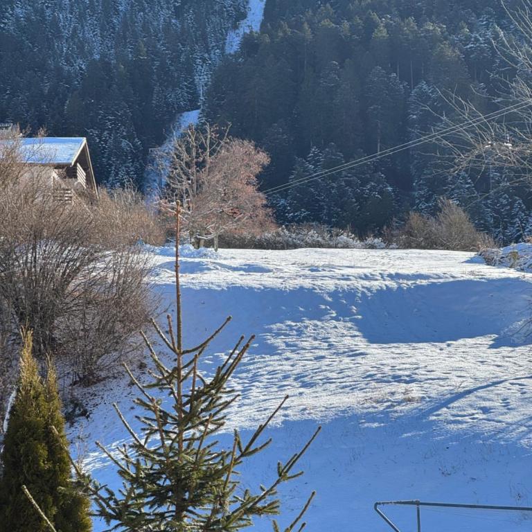 Trilocale ai piedi della Paganella, Andalo - Two-Bedroom Apartment - 14