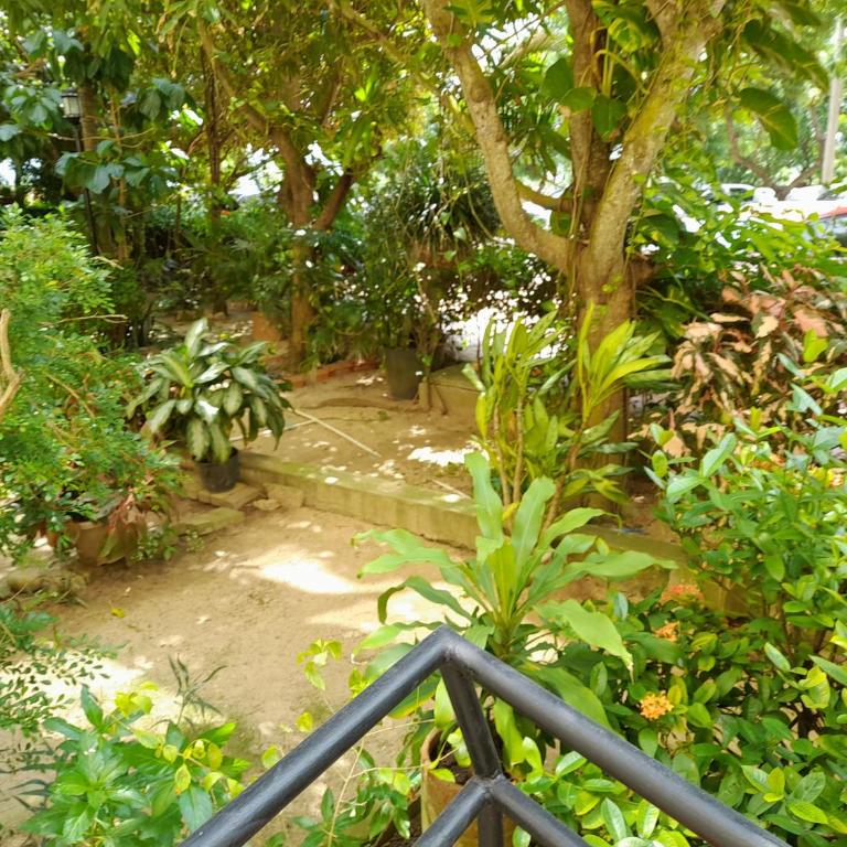 Vacaciones Familiar - Apartamento de 3 dormitorios - 2