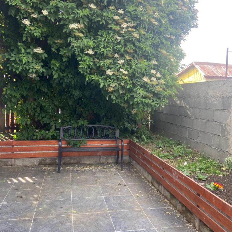 Cabañas Bosque Austral - Apartamento de 1 dormitorio - 27
