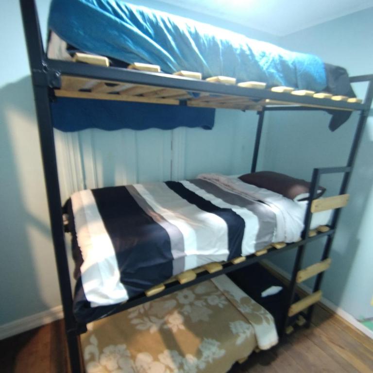 Hostal Perro Watón - Bunk Bed in Female Dormitory Room - 4