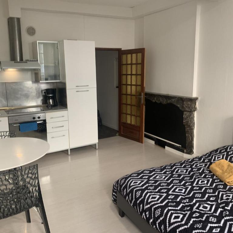 Grand Studio Historique 30m2 - hypercentre - Appartement 1 Chambre - 8