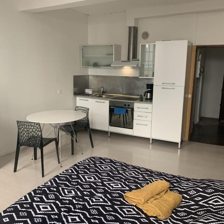 Grand Studio Historique 30m2 - hypercentre - Appartement 1 Chambre - 6