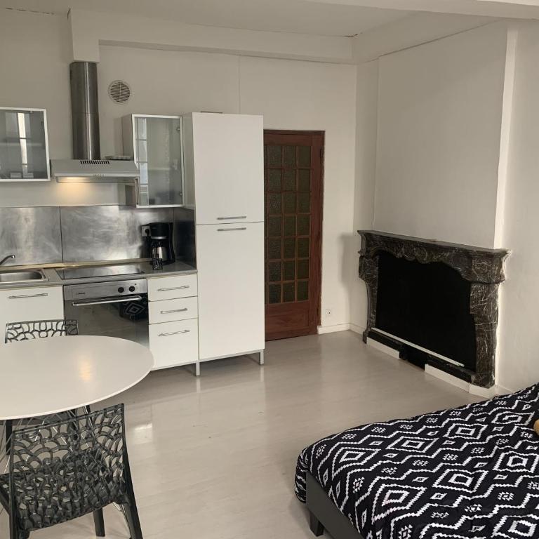 Grand Studio Historique 30m2 - hypercentre - Appartement 1 Chambre - 5