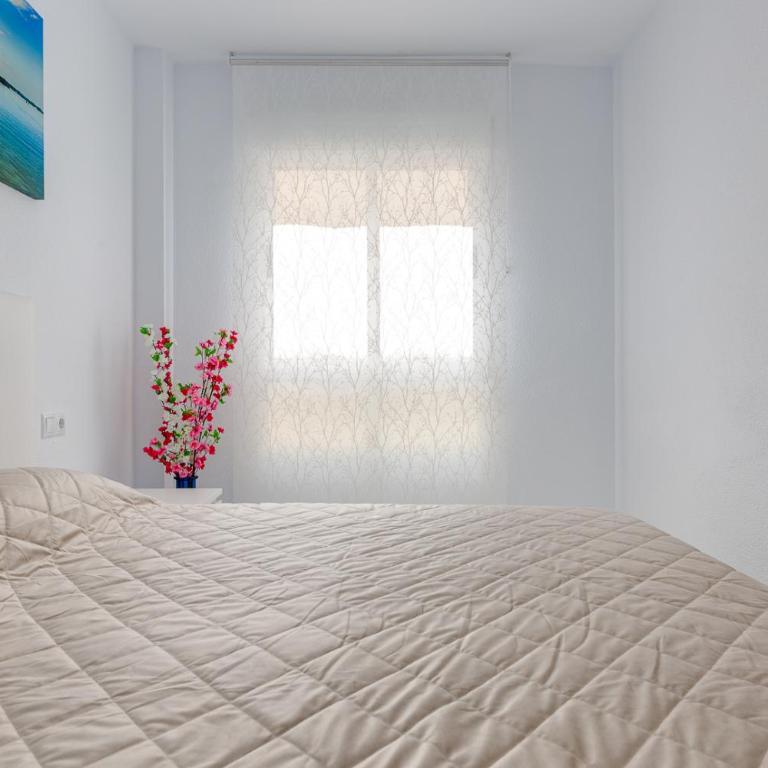 Calle Concordia 86, two bedroom apartment, up to 6 guests, near Del Cura beach,supermarket Mercadona and central bus station - Two-Bedroom Apartment - 38