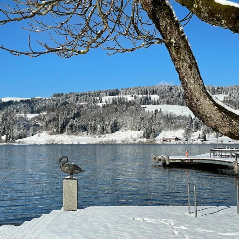 Bergblick-Lounge zentral in Immenstadt - Apartment mit 1 Schlafzimmer - 20