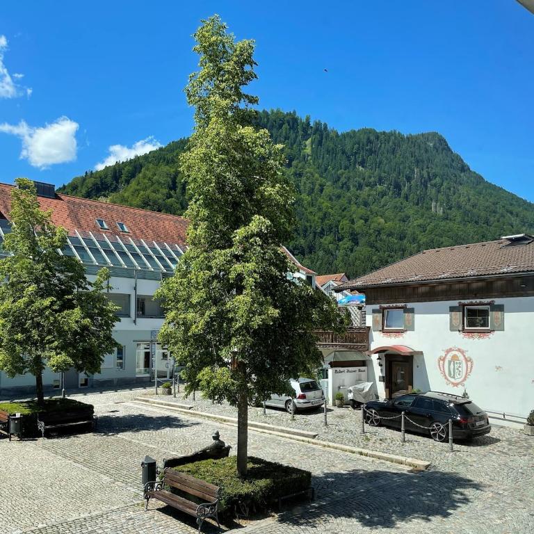 Bergblick-Lounge zentral in Immenstadt - Apartment mit 1 Schlafzimmer - 2