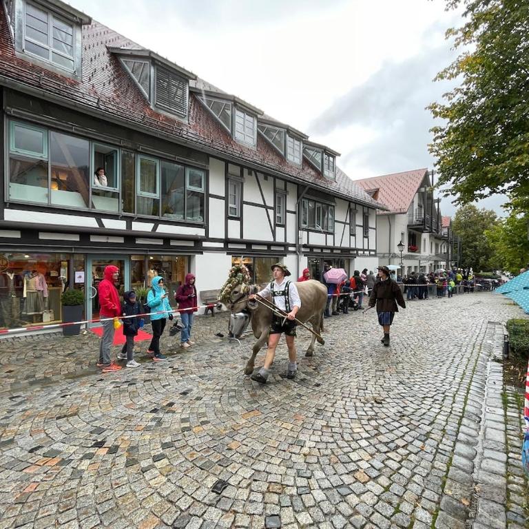 Bergblick-Lounge zentral in Immenstadt - Apartment mit 1 Schlafzimmer - 15