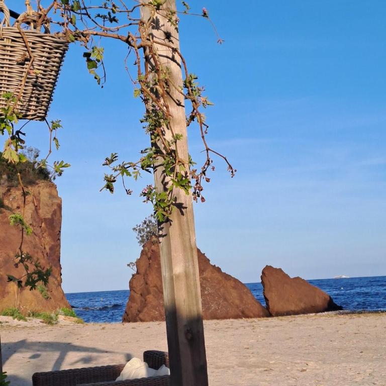 Joli 2 pièces en bord de mer - Appartement 1 Chambre - 21