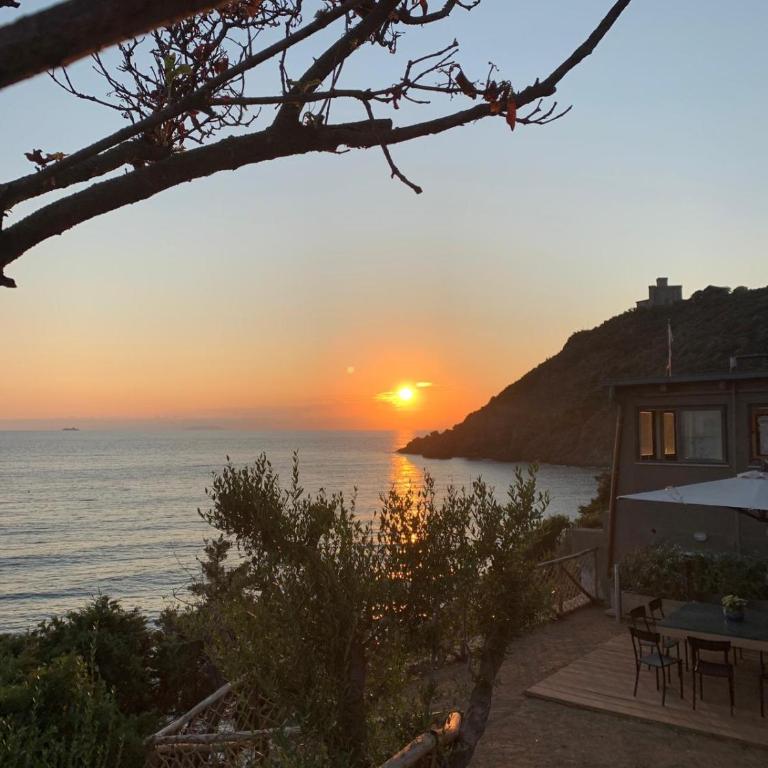 Podere Belvedere Livorno - Villa - 37