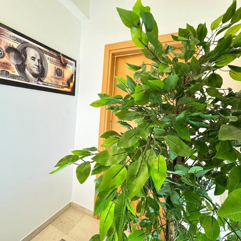 Armonia House - 2 minutes from the central station - Appartamento con 2 Camere da Letto - 36