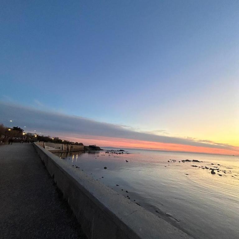 Podere Belvedere Livorno - Villa - 40