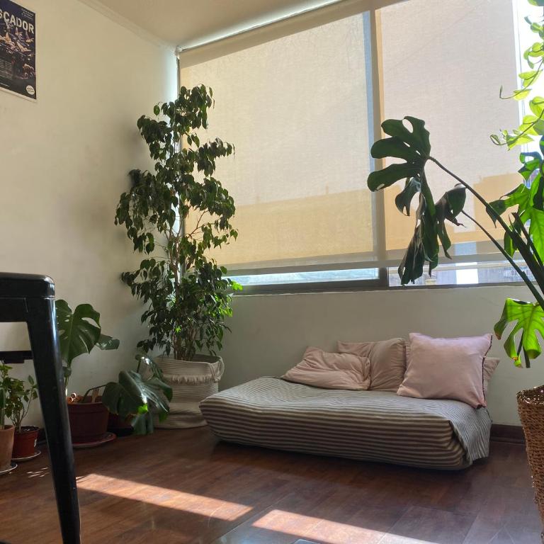 Departamento completó arriendo - Apartamento de 1 dormitorio - 3