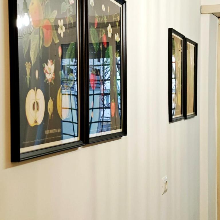 DOMUS Villa Chigi - Two-Bedroom Apartment - 26