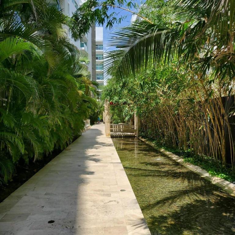 2MV-5G Apartamento de 2 Alc Vista al mar con A A Piscina y Wifi - Two-Bedroom Apartment - 26