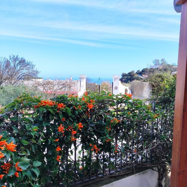 "A Mennulita" - One-Bedroom Apartment - 43