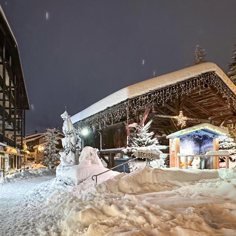 My Way Megeve village 5 rues parking - Appartamento con 2 Camere da Letto e con Vista Montagna - 11