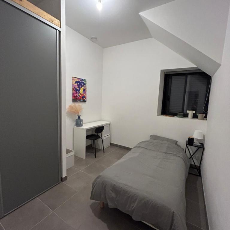 chambre meublée Nantaise dans un T3 commun avec terrasse - Appartement 1 Chambre - 1