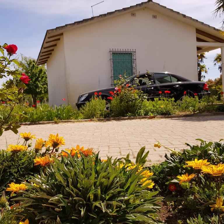 Bungalow bei Emma - Casa con 2 Camere da Letto - 3