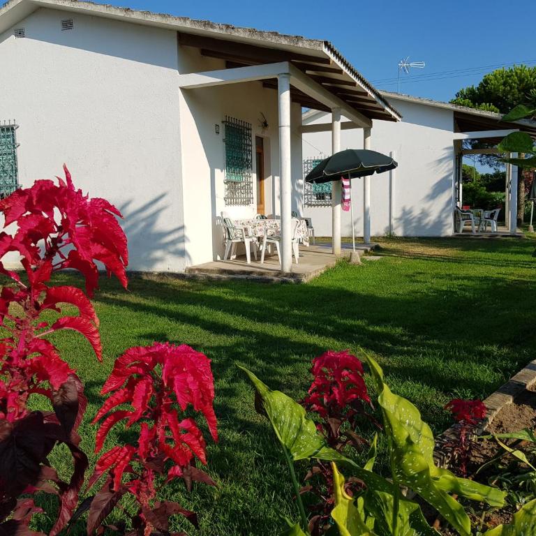 Bungalow bei Emma - Casa con 2 Camere da Letto - 4