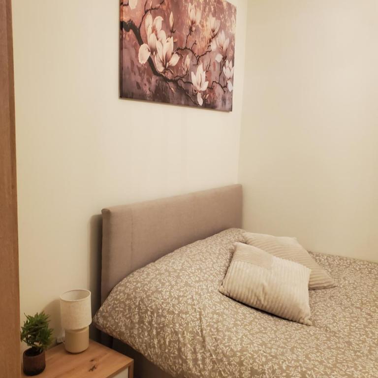 S S Apartman - One-Bedroom Apartment - 17