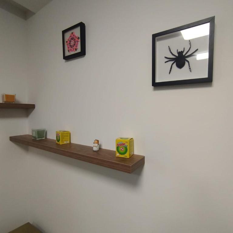 Bella Winterhouse Kopaonik - Apartman sa 1 Spavaćom Sobom - 20