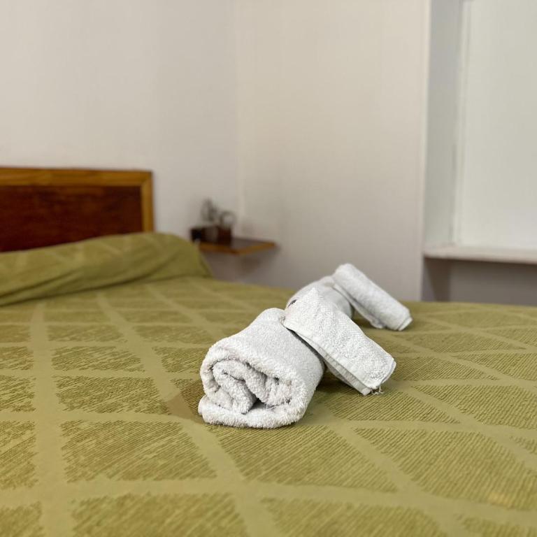 Brisas de Montaña - Two-Bedroom Apartment - 11