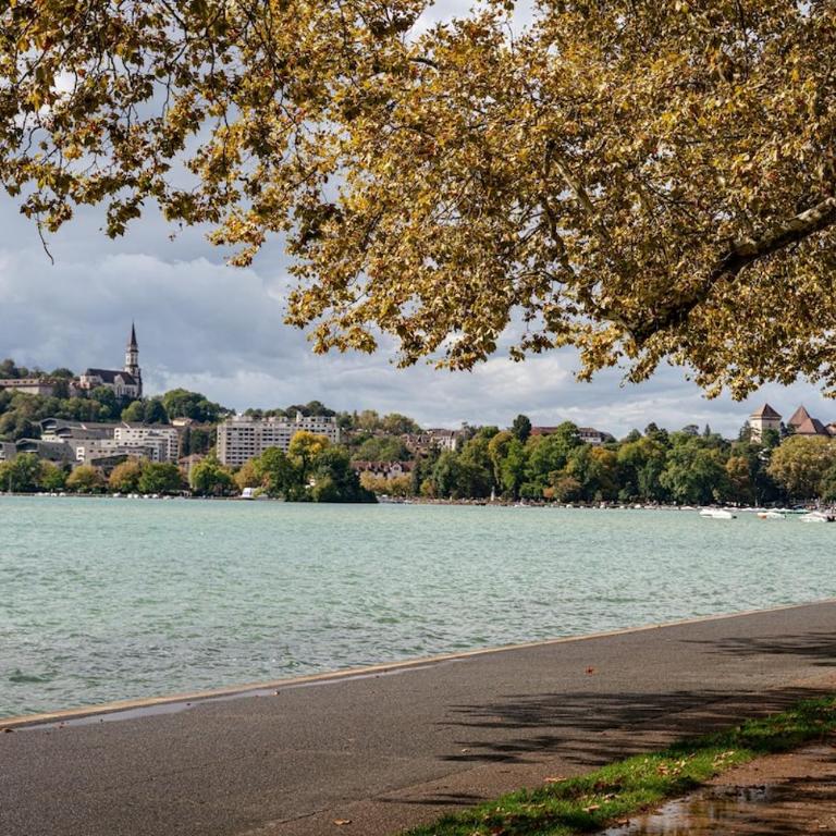 Le Cocon Du Lac - Apartment mit 1 Schlafzimmer - 10