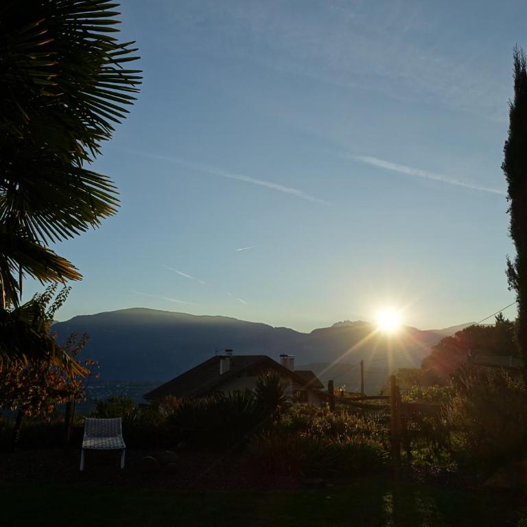 Schloss-Hof - Appartamento con Vista Montagna - 15