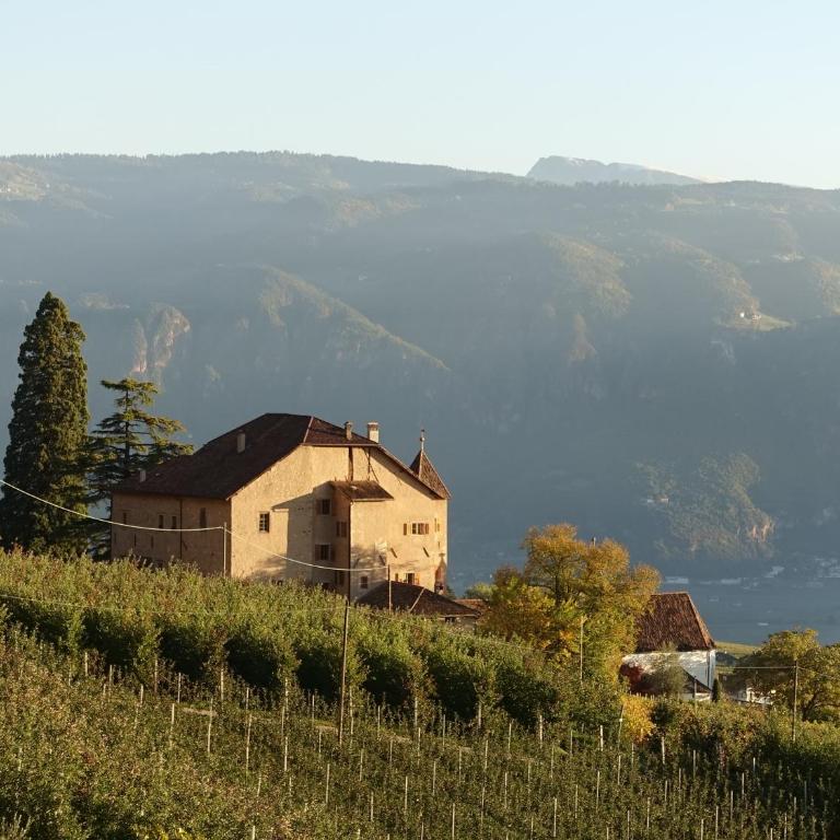 Schloss-Hof - Appartamento con Vista Montagna - 16