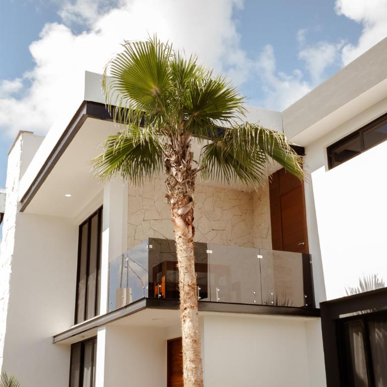 Casa Cactus Luxury Villa - Villa - 16