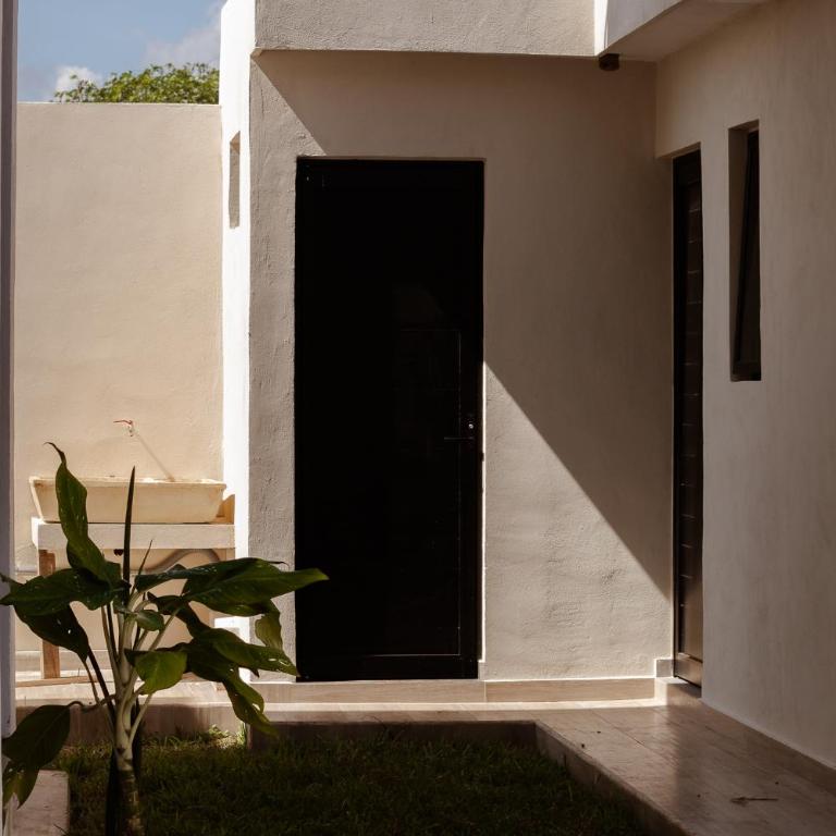 Casa Cactus Luxury Villa - Villa - 45