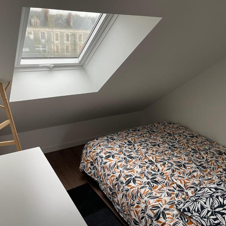 Studio 401 - Hyper Centre - Intégralement rénové - Toutes commodités à pied - Appartement 1 Chambre - 6