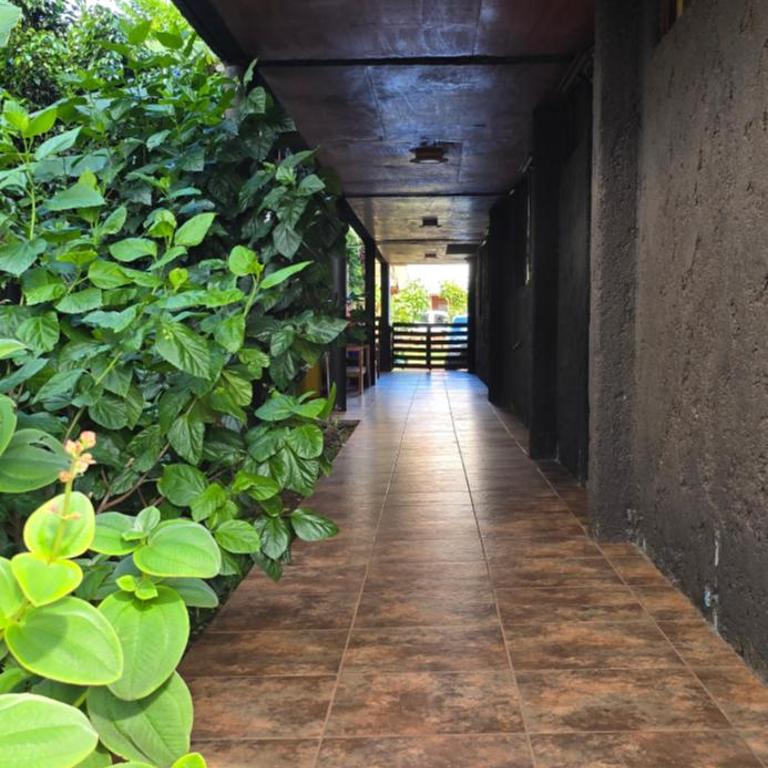 Apartamentos Tupuna Lodge - Apartamento con vistas al jardín - 1