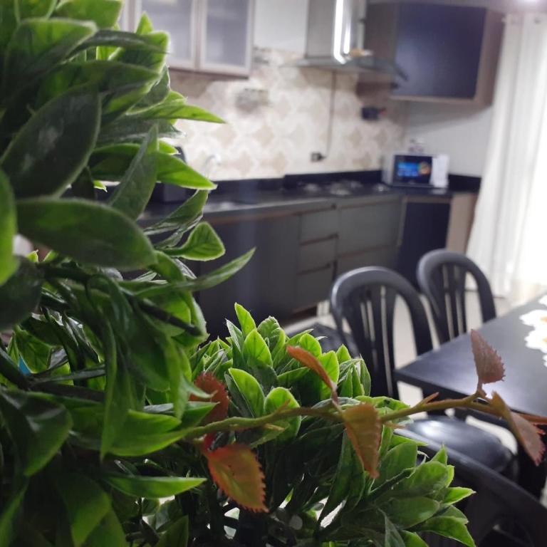 Fabuloso Departamento - Excelente Ubicacion - Two-Bedroom Apartment with Balcony and Terrace - 16