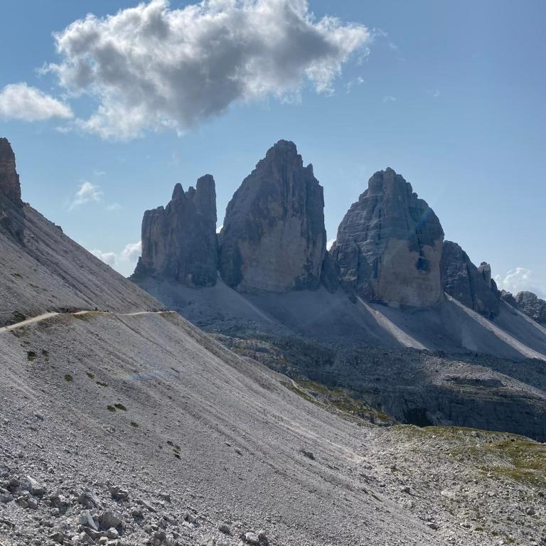 Mountain Flat Luna -Next train station Dobbiaco- - Appartamento Superior con 2 Camere da Letto e Balcone - 32